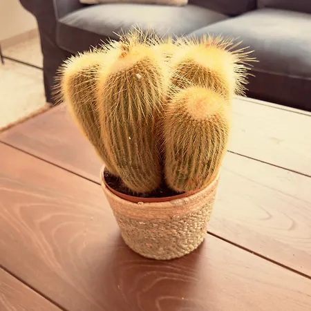 Emblematic Canarian House La Orotava